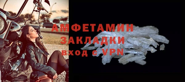 мдпв Гусев