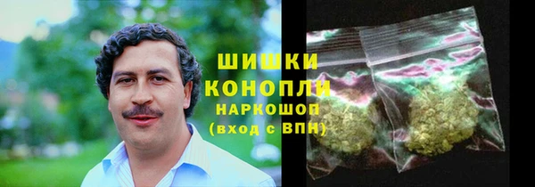 крисы Дмитров