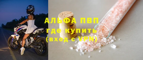 мдпв Гусев