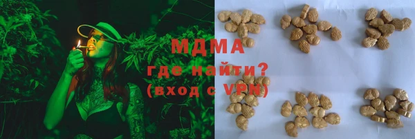 мдпв Гусев