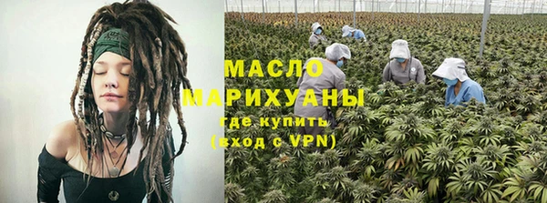 мдпв Гусев