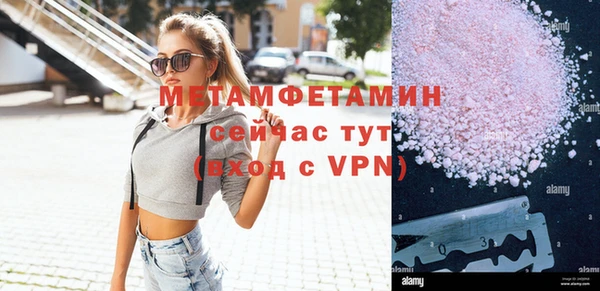 мдпв Гусев