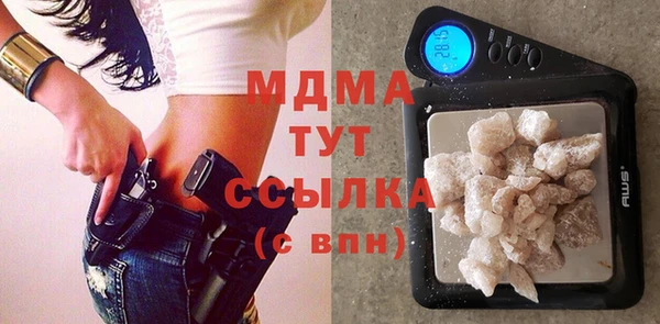 мдпв Гусев