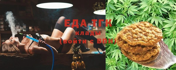 мдпв Гусев