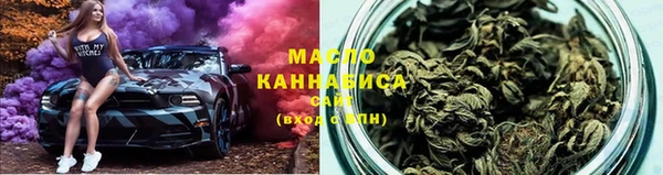 мдпв Гусев