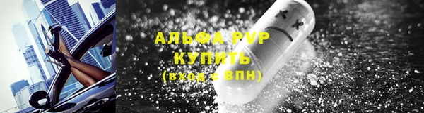 винт Дмитриев