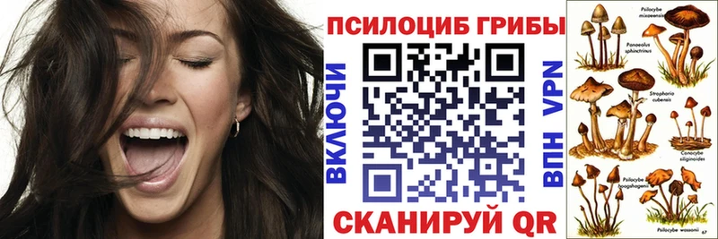 Купить  Малгобек  Псилоцибиновые грибы мухоморы 